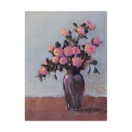 Tim Otoole 'Soft Lit Roses I' Canvas Art,18x24